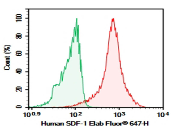 Purified Anti-Human SDF-1 Antibody[H336-5H5] (AN007580P)
