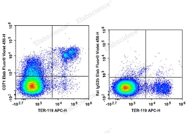 Elab Fluor® Violet 450 Anti-Mouse CD71 Antibody[R17 217.1.3/TIB-219] (E-AB-F1093Q)