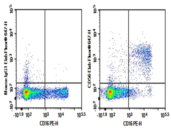 Purified Anti-Human/Monkey CD56 Antibody[B-A19] (E-AB-F1305A)