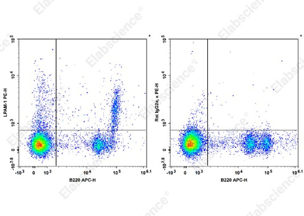 PE Anti-Mouse LPAM-1 Antibody[DATK32] (AN00563D)