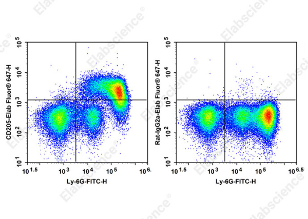 Elab Fluor® 647 Anti-Mouse CD205 Antibody[NLDC-145] (AN00844M)