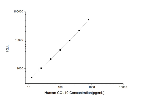 Human COL10 (Collagen Type X) CLIA Kit (E-CL-H0563)