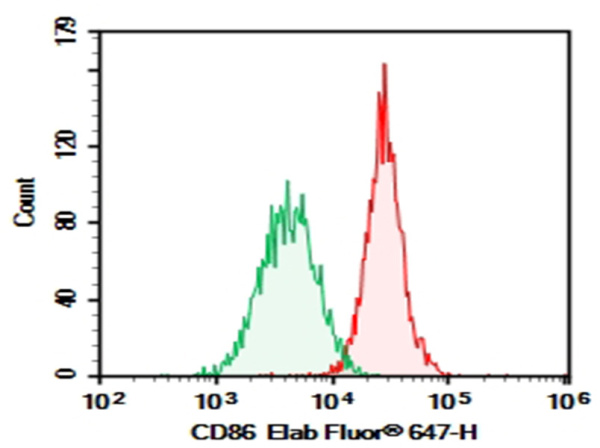 AF/LE Purified Anti-Human CD86 Antibody[IT2.2] (E-AB-F12690)