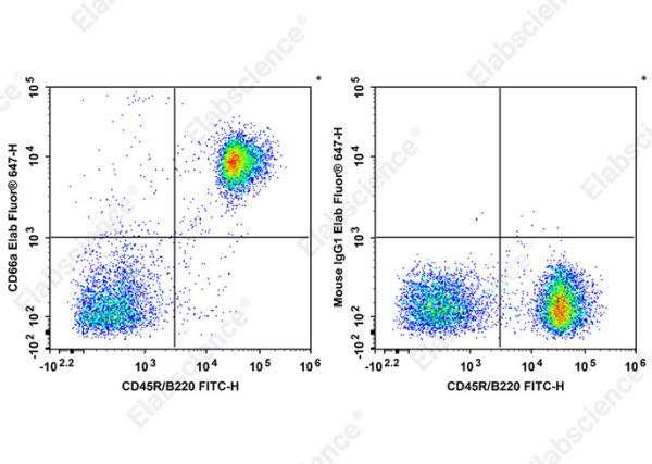 Elab Fluor® 647 Anti-Mouse CD66A Antibody[Mab-CC1] (AN00328M)
