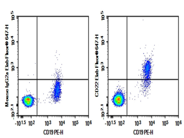 Purified Anti-Human CD22 Antibody[LL2] (AN007540P)