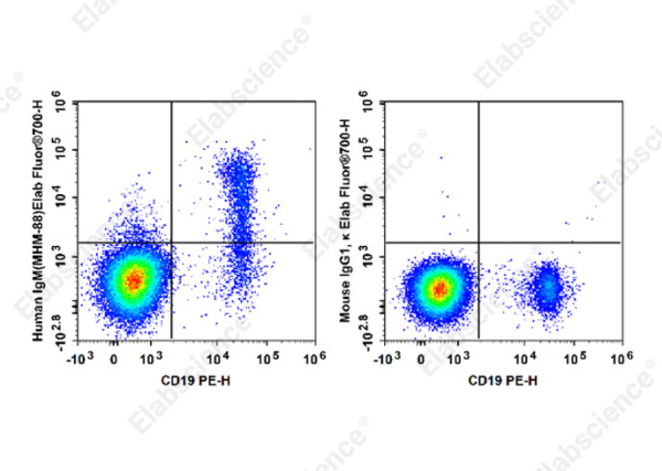Elab Fluor® 700 Anti-Human IgM Antibody[MHM-88] (E-AB-F1172M1)
