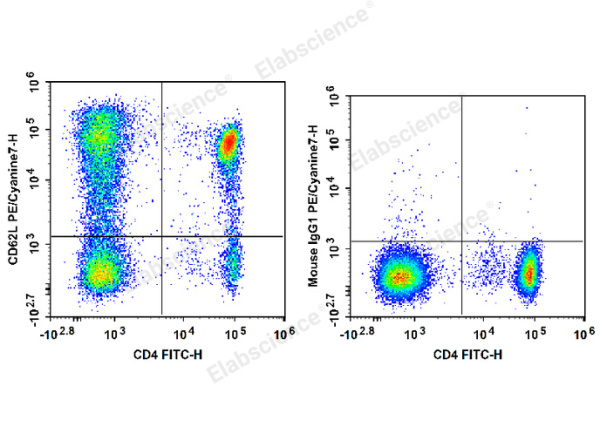 PE/Cyanine7 Anti-Human CD62L Antibody[DREG56] (E-AB-F1051H)