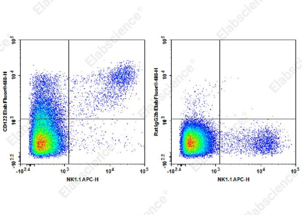Elab Fluor® 488 Anti-Mouse CD122 Antibody[TM-Beta 1] (AN00418UL)