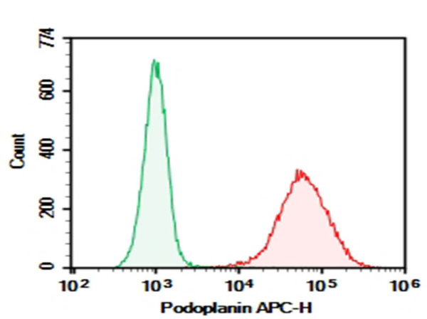 Purified Anti-Mouse Podoplanin Antibody[8.1.1] (AN009680P)