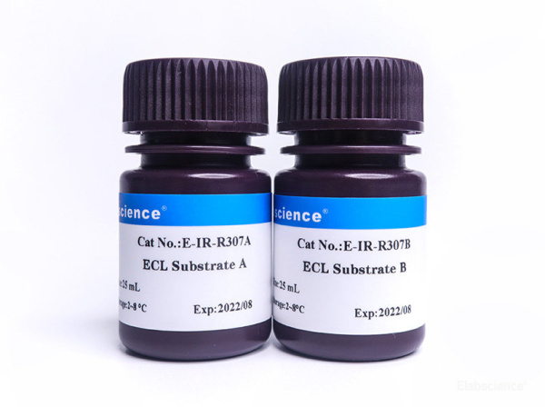 Excellent Chemiluminescent Substrate (ECL) Kit (E-IR-R301)