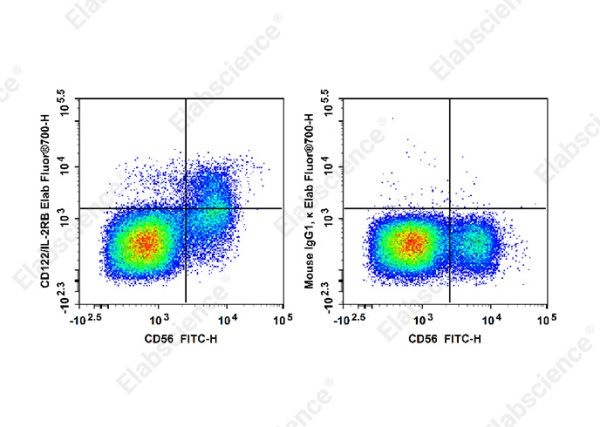 Elab Fluor® 700 Anti-Human CD122/IL-2RB Antibody[TU27] (E-AB-F1151M1)