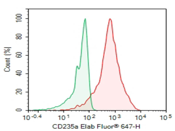 Purified Anti-Human CD235a Antibody[10F7MN] (AN004100P)