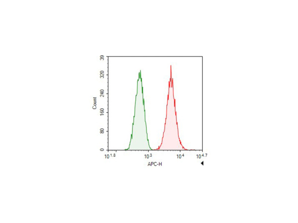 Elab Fluor® 647-conjugated beta actin Monoclonal Antibody (AN00295M)