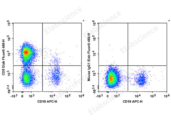 Elab Fluor® 488 Anti-Human CD5 Antibody[5D7] (E-AB-F1371L)