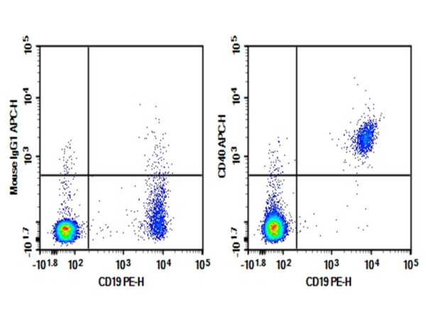 Purified Anti-Human CD40 Antibody[5C3] (AN008830P)