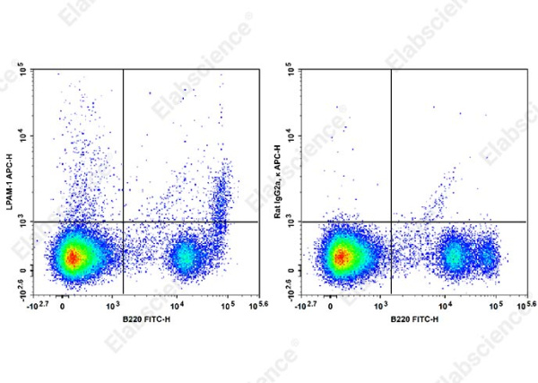 APC Anti-Mouse LPAM-1 Antibody[DATK32] (AN00563E)
