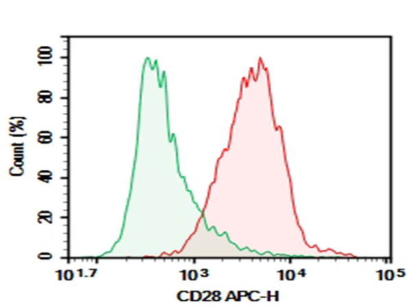 AF/LE Purified Anti-Mouse CD28 Antibody[PV-1] (AN008320)