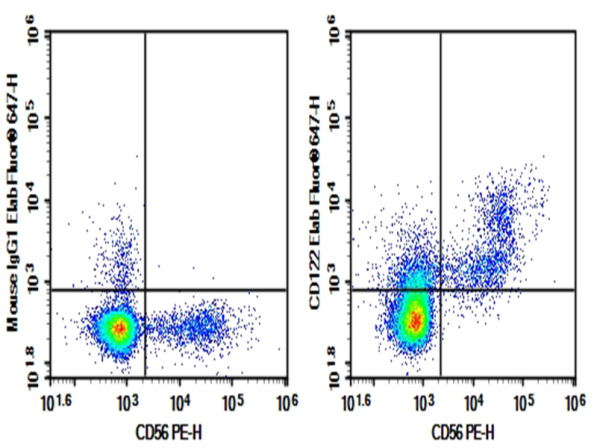 AF/LE Purified Anti-Human CD122 Antibody[TU27] (E-AB-F11510)