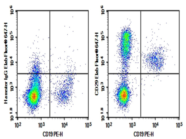 AF/LE Purified Anti-Mouse/Rat CD29 Antibody[HMβ1-1] (E-AB-F13090)