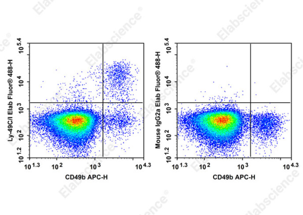 Elab Fluor® 488 Anti-Mouse Ly-49C/I Antibody[5E6] (AN00659L)