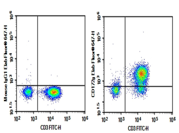 Purified Anti-Human CD172g Antibody[OX-119] (AN002870P)