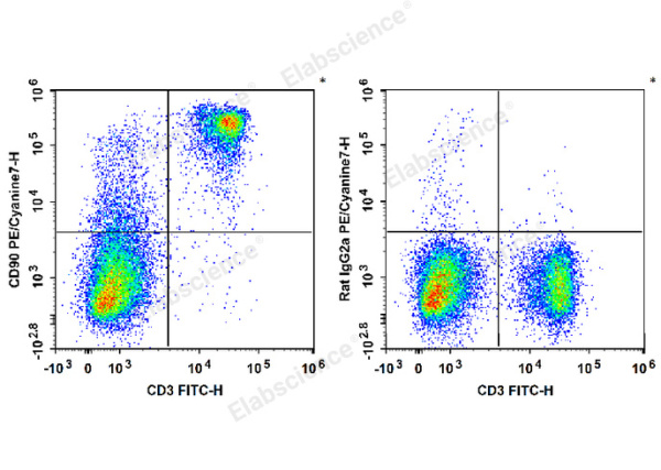 PE/Cyanine7 Anti-Mouse CD90 Antibody[M5/49.4.1] (E-AB-F1283H)