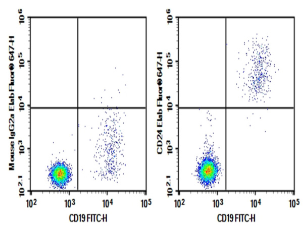 Purified Anti-Human CD24 Antibody[ML5] (E-AB-F11470P)