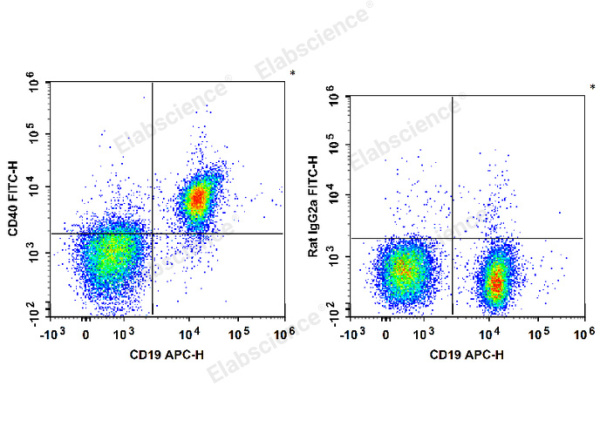 FITC Anti-Mouse CD40 Antibody[FGK4.5/FGK45] (E-AB-F1028UC)