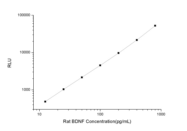 Rat BDNF (Brain Derived Neurotrophic Factor) CLIA Kit (E-CL-R0720)