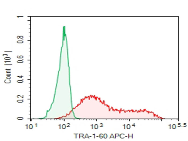 Purified Anti-Human TRA-1-60 Antibody[TRA-1-60] (AN011240P)