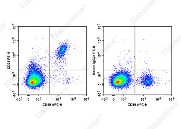 PE Anti-Human CD21 Antibody[HI21a] (E-AB-F1320D)