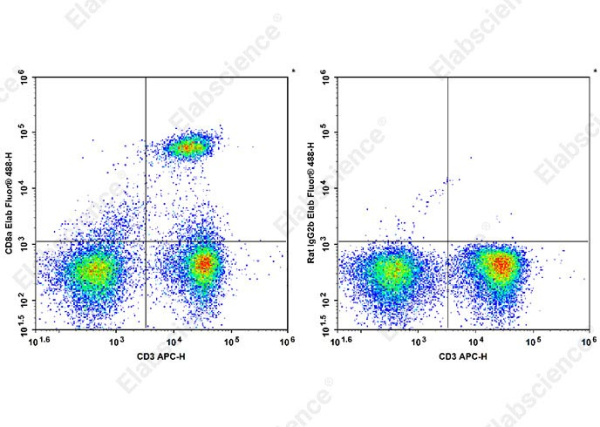 Elab Fluor® 488 Anti-Mouse CD8a Antibody[YTS 105.18] (AN00331UL)