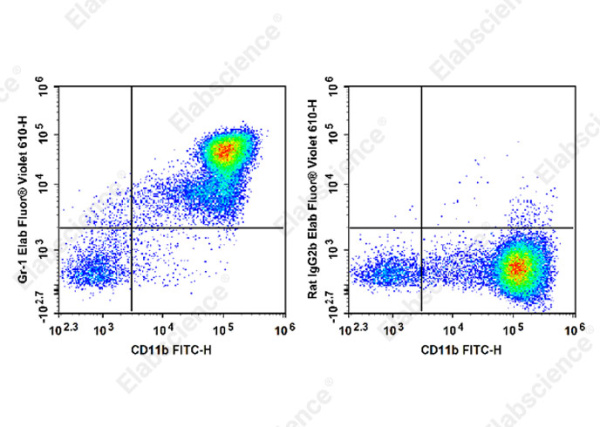 Elab Fluor® Violet 610 Anti-Mouse Ly-6G/Ly-6C Antibody[RB6-8C5] (E-AB-F1120UT)