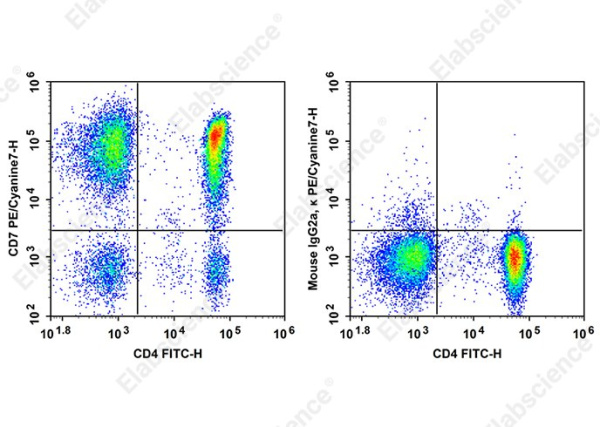 PE/Cyanine7 Anti-Human CD7 Antibody[CD7-6B7] (AN00873H)