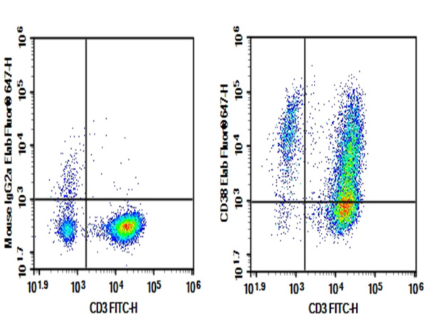 Purified Anti-Human CD38 Antibody[HI157] (AN008260P)