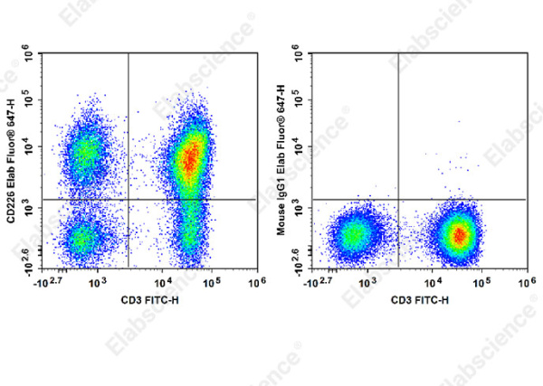 Elab Fluor® 647 Anti-Human CD226/DNAM-1 Antibody[11A8] (E-AB-F1369M)