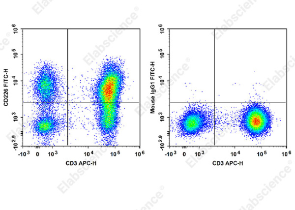 FITC Anti-Human CD226/DNAM-1 Antibody[11A8] (E-AB-F1369C)