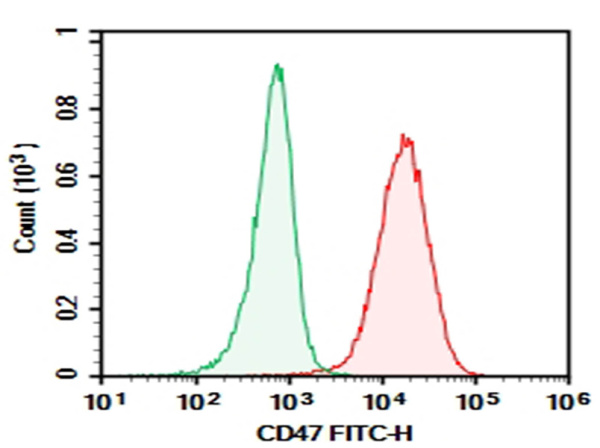 Purified Anti-Human CD47 Antibody[CC2C6D4] (E-AB-F1060A)