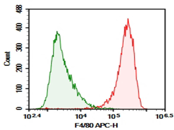 Purified Anti-Mouse F4/80 Antibody[BM8] (AN009650P)