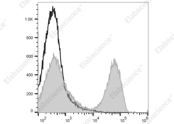 PE Goat Anti-Rat IgG (H+L) Antibody[Poly1441] (AN00339D)