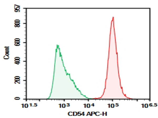 Purified Anti-Human CD54 Antibody[HA58] (AN009340P)