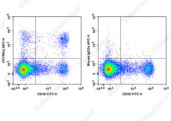 APC Anti-Human CD158b/j Antibody[DX27] (E-AB-F1381E)