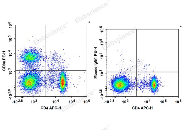 PE Anti-Rat CD8a Antibody[OX-8] (E-AB-F1098UD)
