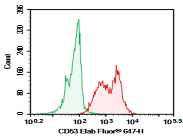 Purified Anti-Human CD53 Antibody[HI29] (E-AB-F1332A)