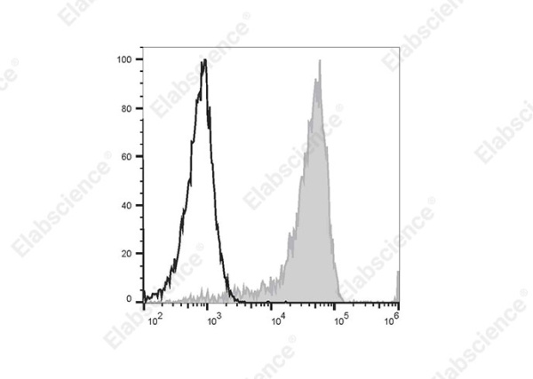 PE Anti-Human CD192/CCR2 Antibody[K036C2] (E-AB-F1385D)