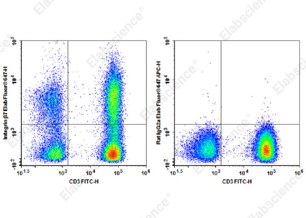 Elab Fluor® 647 Anti-Human/Mouse Integrin β7 Antibody[FIB21] (AN00423M)