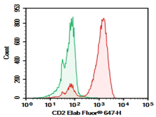 Purified Anti-Human CD2 Antibody[HIT11] (E-AB-F1311A)