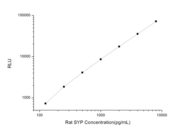 Rat SYP (Synaptophysin) CLIA Kit (E-CL-R0622)