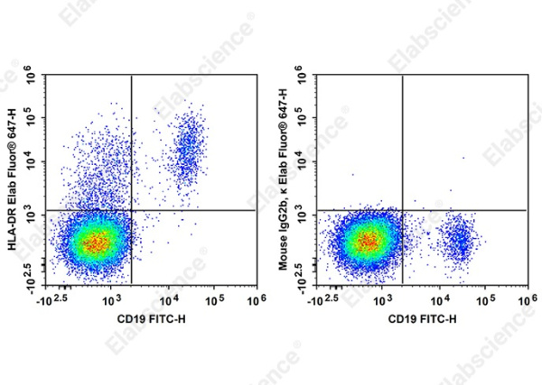 Elab Fluor®647 Anti-Human HLA-DR Antibody[Tü36] (AN00994M)