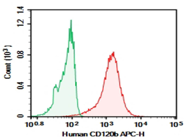 Purified Anti-Human CD120b Antibody[H370-3B12] (AN007450P)